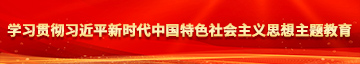 大鸡鸡日B学习贯彻习近平新时代中国特色社会主义思想主题教育